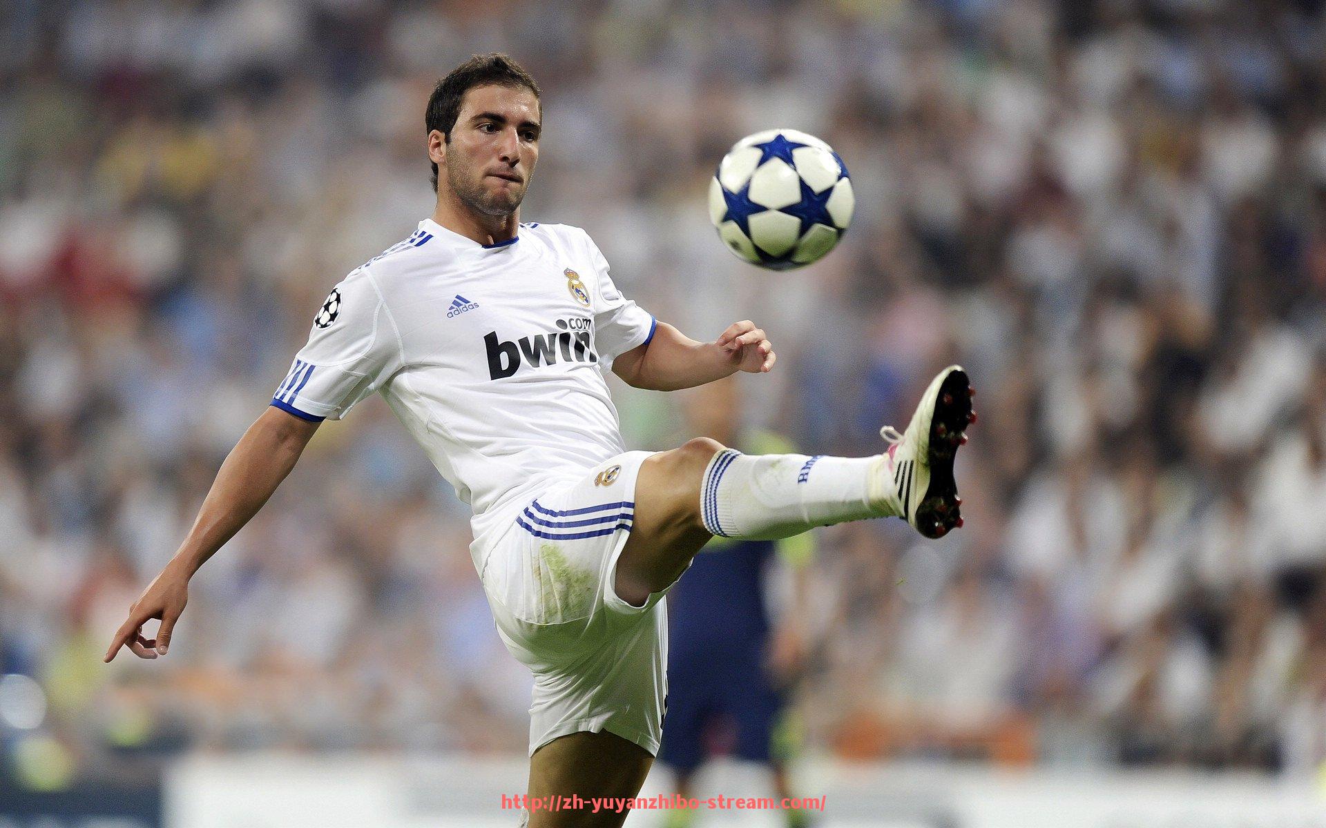 雨燕直播-看球不孤单！世俱杯球迷互动视频分享引爆社交平台