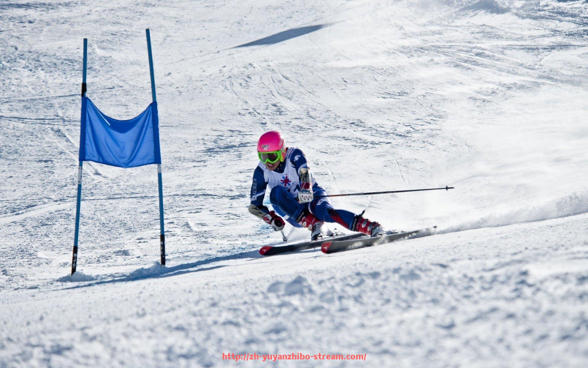 雨燕直播-国际足联在世俱杯中扮演的监管与协调双重职责剖析